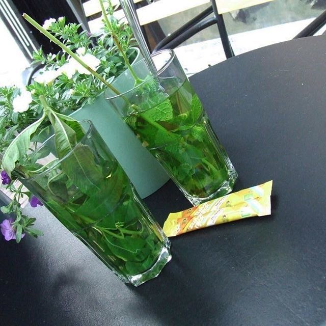 Enjoy your cup of tea! Organic mint tea and verbena tea at Frans de Grebber ift.tt/2sliEGX