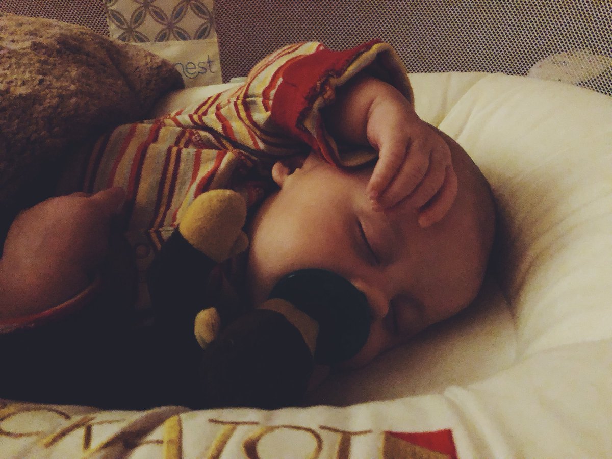 BrianneDrew's tweet photo. Why can’t I look this cute when I sleep? https://t.co/zJGyi6TigU
