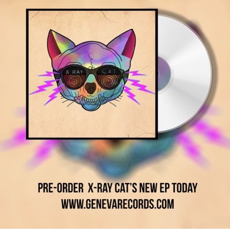 X-Ray Cat tweet media