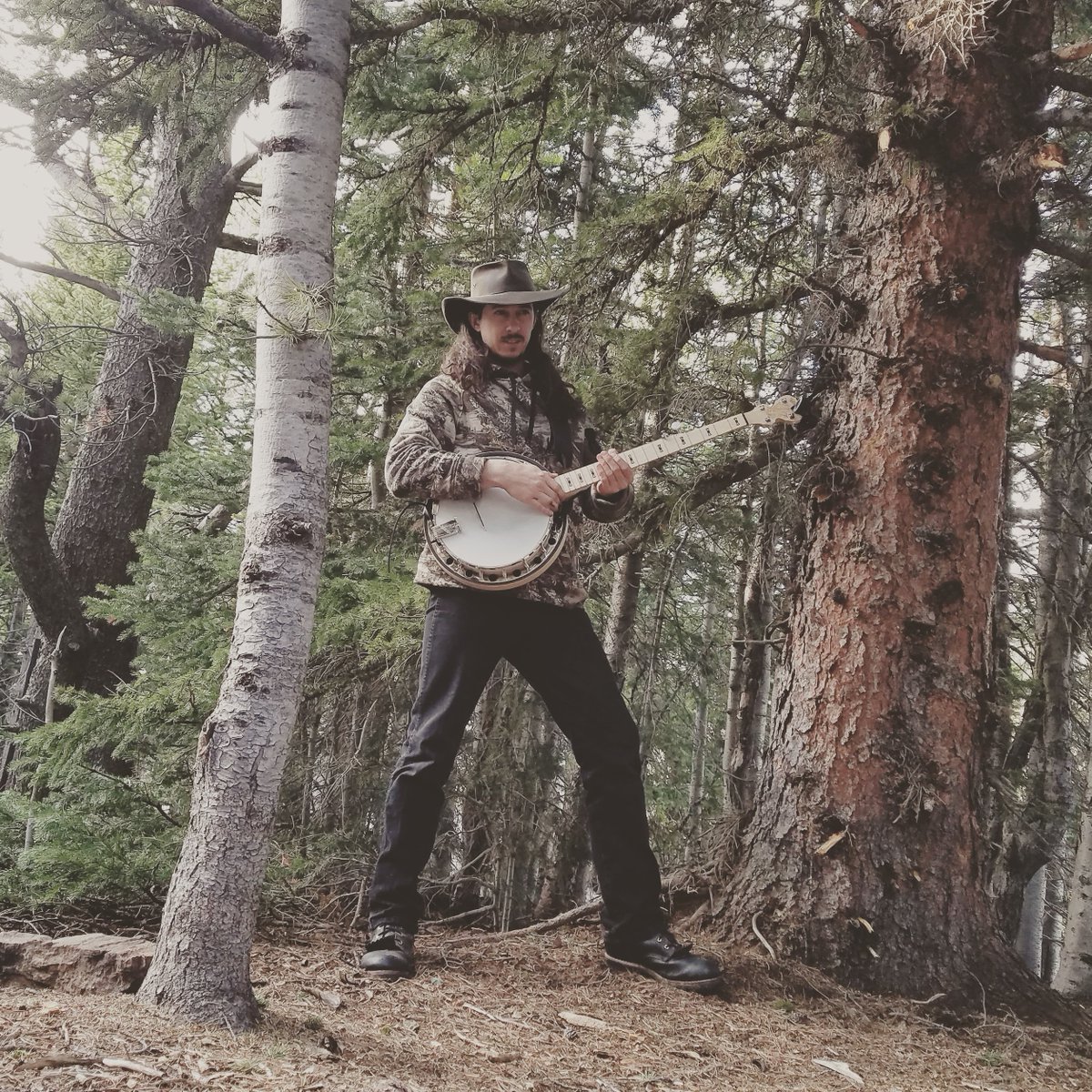 Getting down in the backwoods #bluegrassmusic #banjo #folkmusic #Colorado #2018tour #banjolife #folklife #ontheroad #hoedown #inthewoods #rockymountains