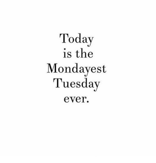 Yes, yes it is! #generalcontractor #construction #cre #mondayesttuesdayever #ugh #doubleugh #realtalk #craftanexperience