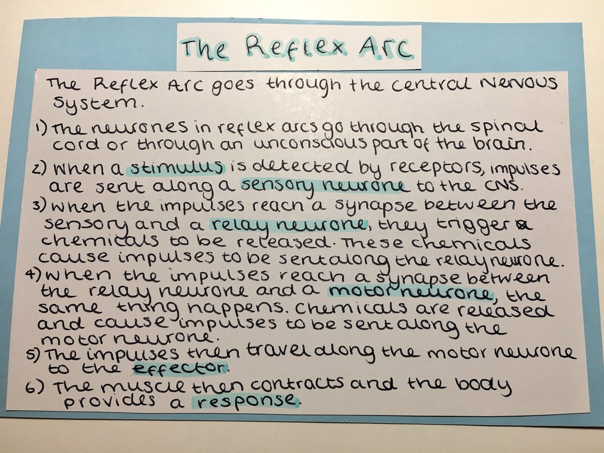 GCSE Notes On Twitter Btw These Notes Are From The CGP Combined