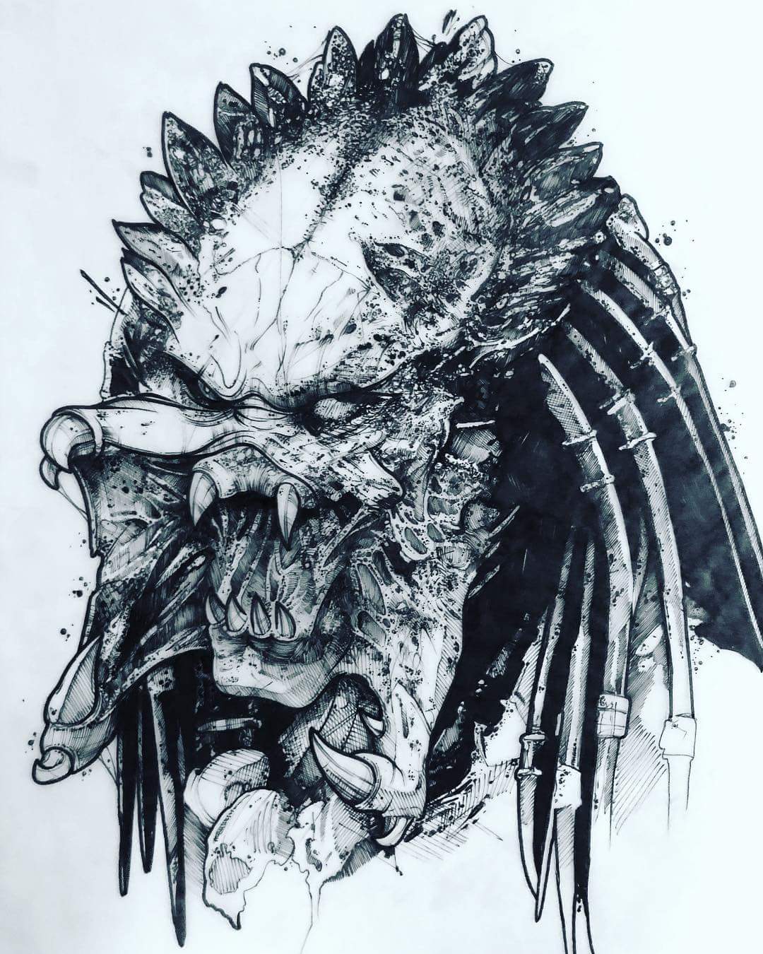 Best ever Predator pic pic of Predator 