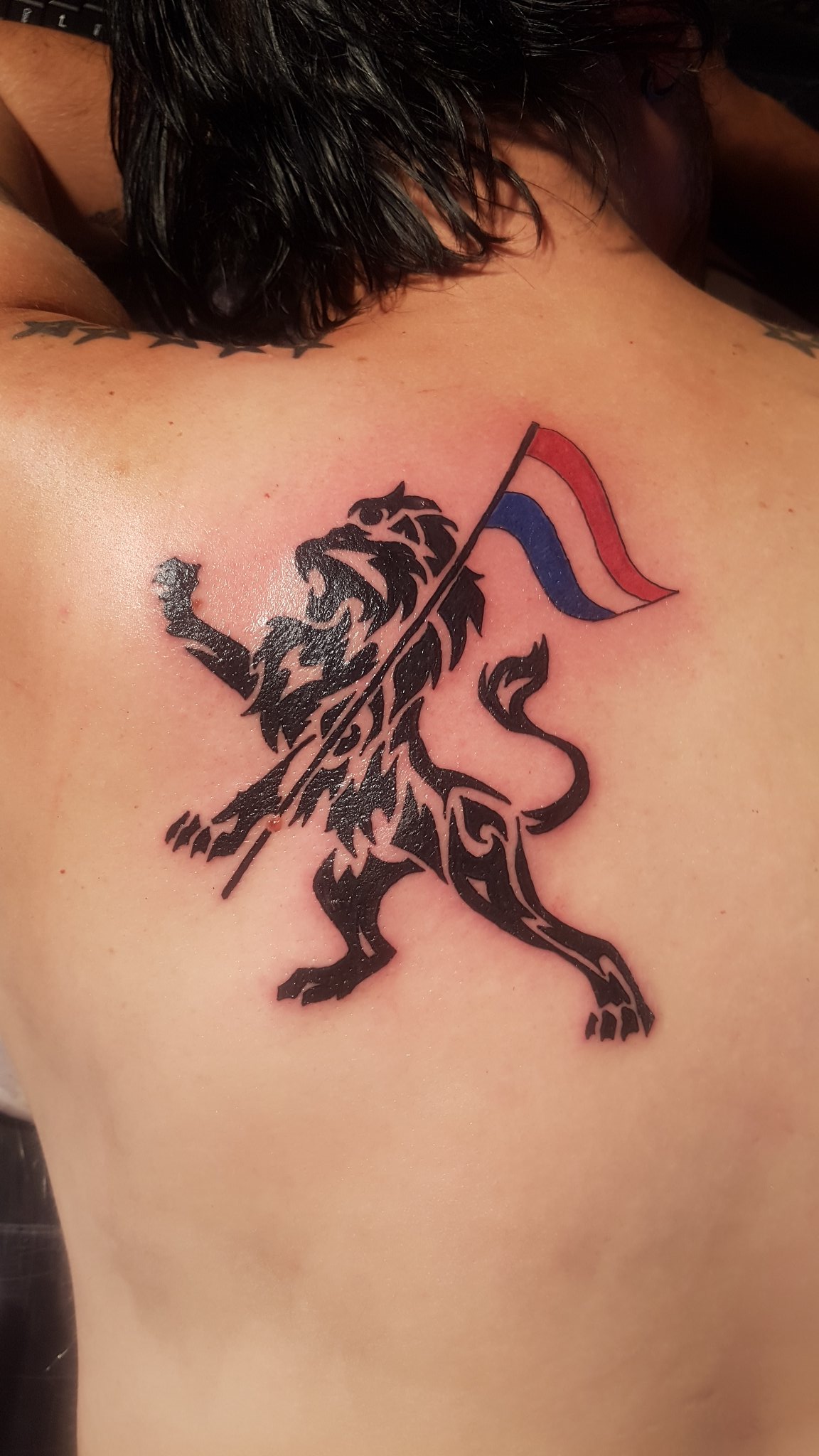 Patriotic  Chameleon Tattoo  Tattoo Studio in Paisley