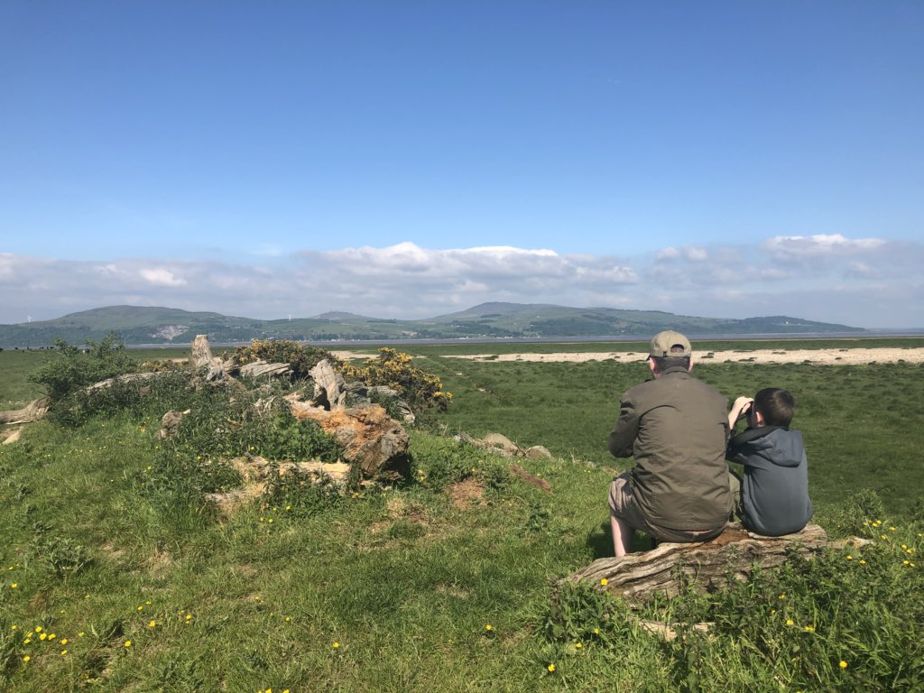 CraftyGingercat's tweet photo. @BBCSpringwatch father &amp; son looking for #ospreys at RSPB Crook of Baldoon #scotland https://t.co/4ODeU0r8Fk