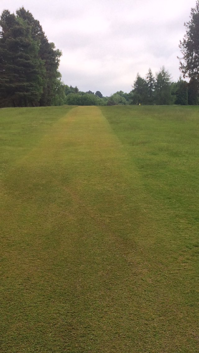 PhilColl_ICL's tweet image. Rescue has really cleaned out these areas to allow fescue to become dominant. Great management from @PrestburyGreens #refinedlook #speedofplay #fescuedominance
