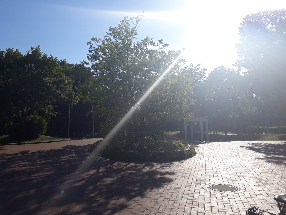 #stadtbüchereitornesch #esistsoheißhier