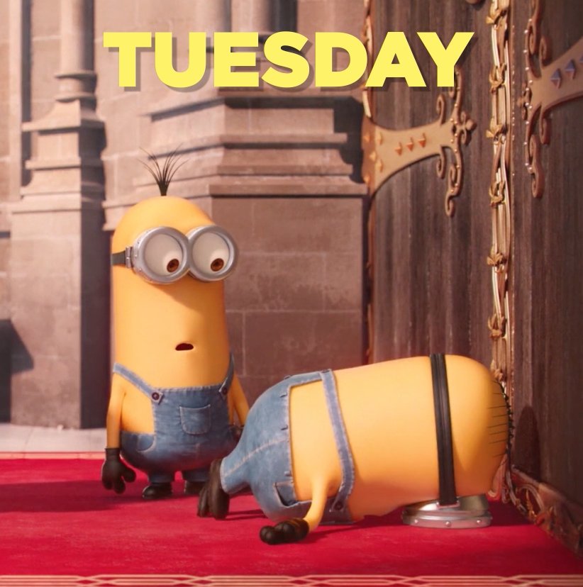 #Minions on Twitter: "Days of the week according to #Minions.…