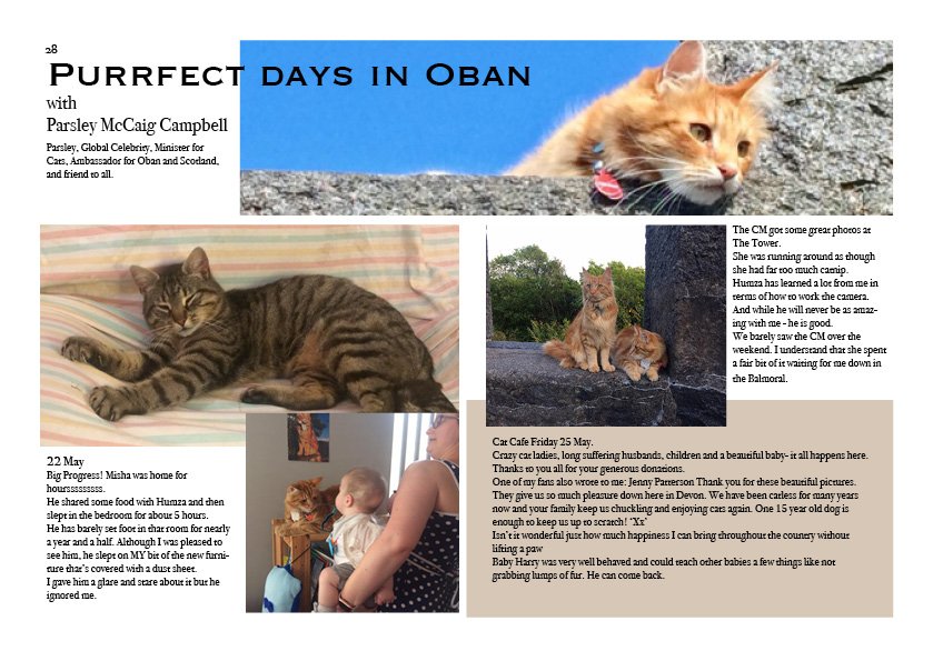ObanPhoenix's tweet photo. Jurassic World, Show Dogs and much much more - https://t.co/ODDxnoVwGG https://t.co/4sOciLmW1y