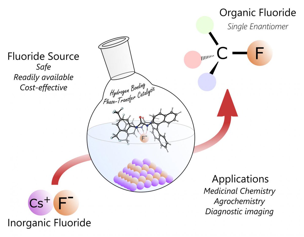 PharmProcessing's tweet photo. New Molecule To Improve Pharmaceuticals Draws Inspiration From Nature's Toolbox
https://t.co/RMZhZlIEbm
#pharmpro #pharma #molecule #PET #ColoradoState #chemical https://t.co/dHnKU7LUrH