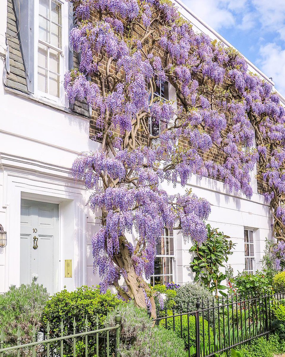 parkinn's tweet photo. Ready to save big on dream destinations like #London? Dream Deals starts tomorrow! Where will you go? https://t.co/DTB7aPw7JX ๐ธ by IGer @ irkkuliri #ParkInn #DreamDeals #AddingColorToLife https://t.co/qwZtYTB5ep