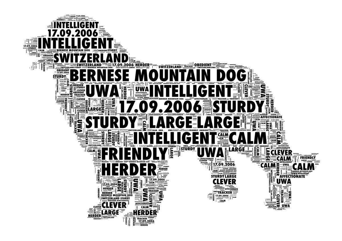 New_World_Vibe's tweet photo. #Dog #VariousBreeds Personalised Print #UniqueKeepsake https://t.co/X8wB8v3jlp #QueenOf #ATSocialMedia https://t.co/e0Ej6E2qJX