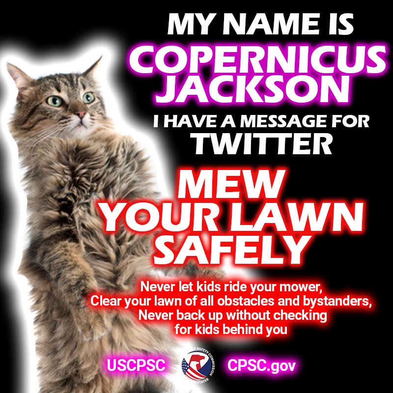 A picture of a cat glowing with the white hot power of knowledge about lawnmower safety. The text reads: My name is Copernicus Jackson. I have a message for Twitter. Mew your lawn safely. Never let kids ride your mower, clear your lawn of all obstacles and bystanders, never back up without checking for kids behind you.
