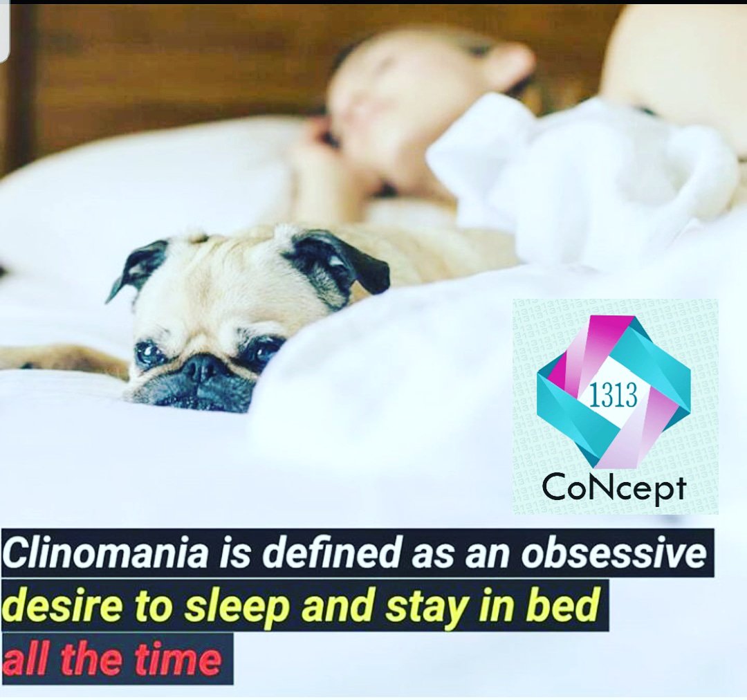 1313Concept's tweet image. #LuliRuleth #1313CoNcept #brainrefresher #PositiveMentalAttitude #Positivemindset #getupdated 👈👈👈