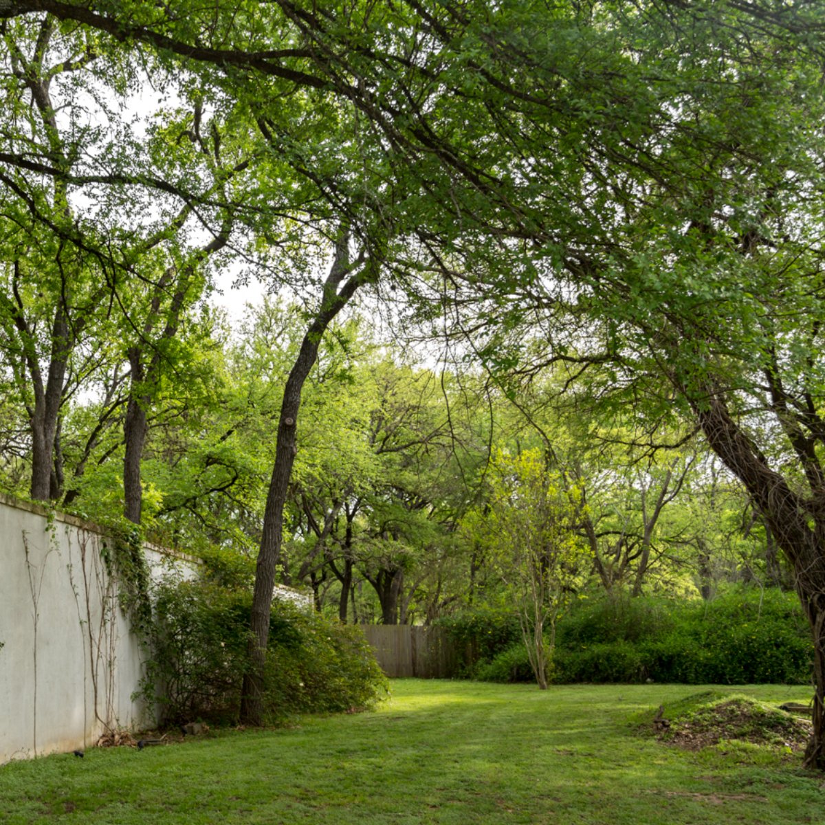 HummingbirdATX's tweet image. Lose yourself in our green wonderland. #venuegoals #austinweddings #gardenwedding #outdoorwedding #hummingbirdhouse