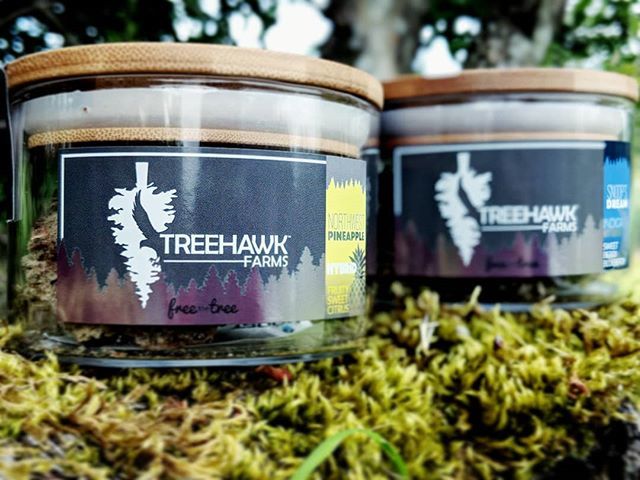Buds_SOS's tweet photo. @treehawk.farms is 15% off today for #topshelftuesday!
.
.
.
#pnw #dopemagazine #bellingham #ferndale #seattle #washington #indica #sativa #hybrid #cannabis #nwleaf #weedstagram420 #marijuana #legal #weed #weedsociety #terpenes #lifestyle #hightimes #wee… https://t.co/LhdTfI5cO1 https://t.co/mkCLJTX57X