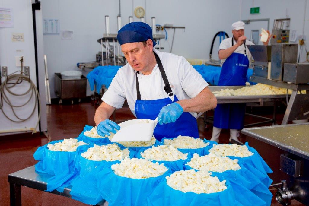 BritCheeseAward's tweet photo. Awards countdown: #cheesemakerday @HighWealdDairy filling the moulds #BCA18 https://t.co/GAz492vDsI