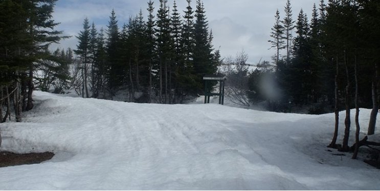 PrairieEquipAB's tweet photo. You never know when winter will come back.. https://t.co/r7qL8nMynz https://t.co/YFMNOd8tz8
