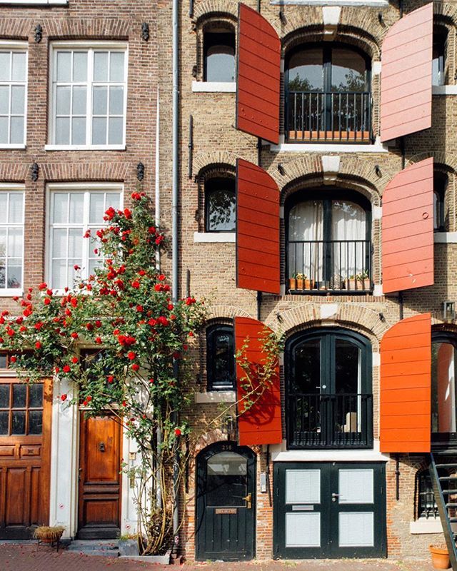 🌹Roses really smell like...🌹 ift.tt/2siEUlr