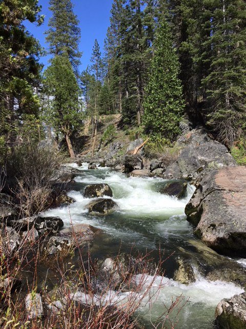 brettdennen's tweet photo. I had a great time with my family and some fresh air. It's a wonder how much more of an experience the outdoors can be when not immediately sharing every part of it. Some might say, "disconnect to reconnect". I can't wait to see what you did this weekend - share with #LetsUnplug. https://t.co/1XF6E4pcW9