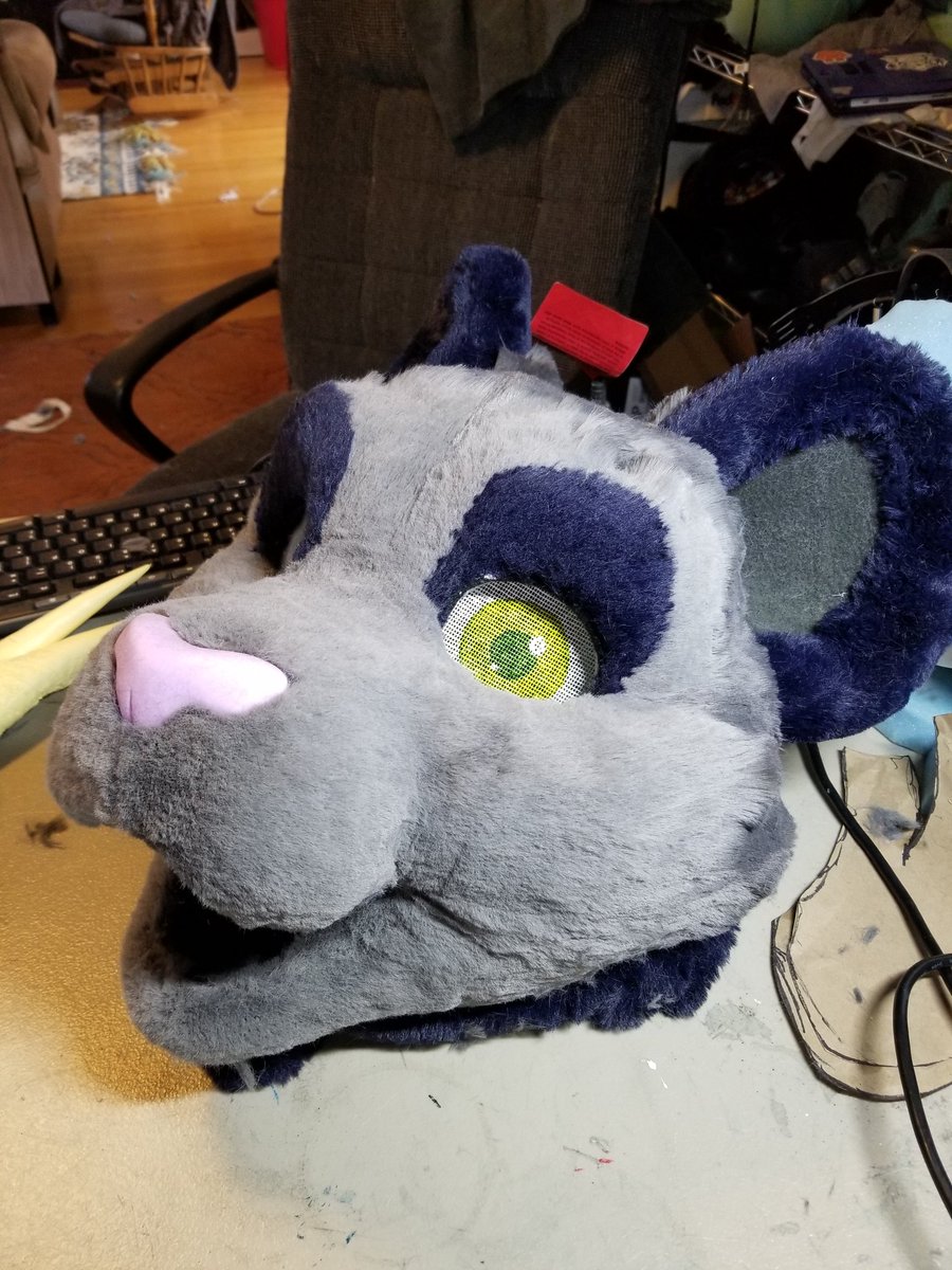 Still shaving Blume ! Almost ready for hair