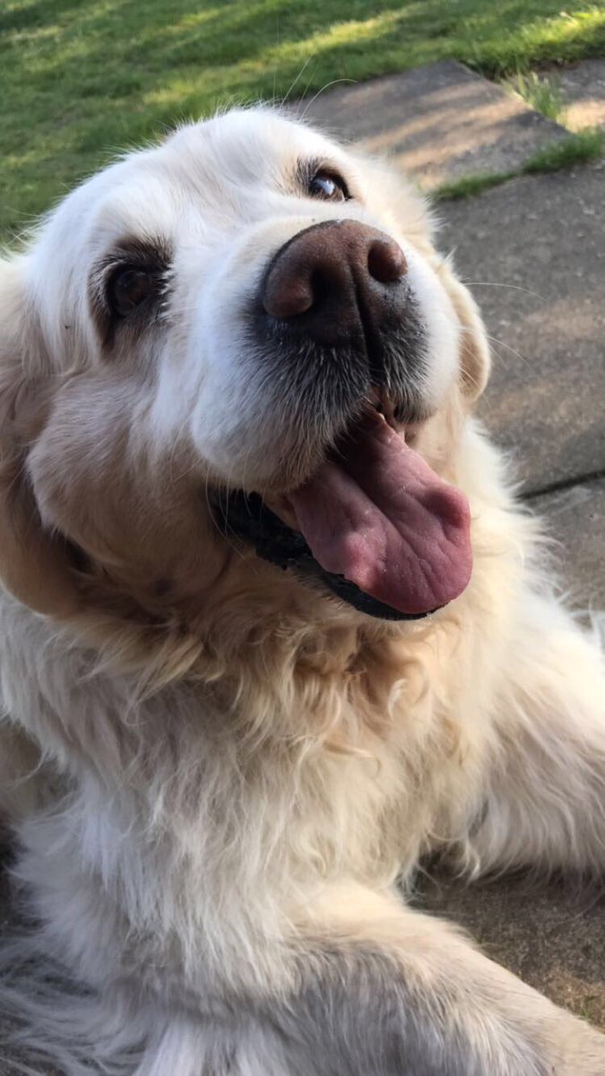 Andy Armsby tweet media