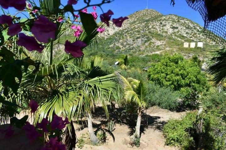 CBRiveras's tweet photo. Ocean views from Casa Redick, located above the Cabo Pulm Eastcape road.
#bajalovers #eastcape #findyournewhome #myhome #realtors #cbriveras https://t.co/HKNxMH7tvr