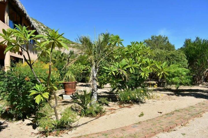 CBRiveras's tweet photo. Ocean views from Casa Redick, located above the Cabo Pulm Eastcape road.
#bajalovers #eastcape #findyournewhome #myhome #realtors #cbriveras https://t.co/HKNxMH7tvr