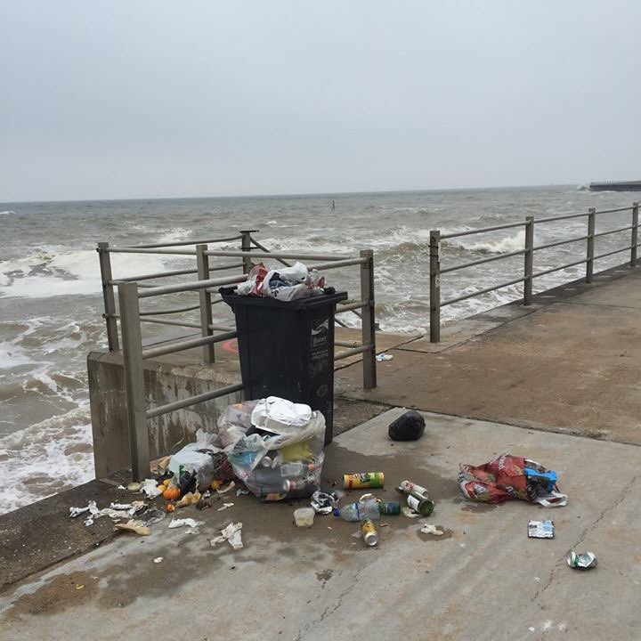 AyoAkinwo's tweet image. We found a seal dead on the beach and lots and lots of plastic waste also. It’s not acceptable, EVERYONE needs to take responsibility for this! Certain neighbourhoods don’t seem to be getting the attention they need because of their demographic! @ThanetGazette @ThanetCouncil