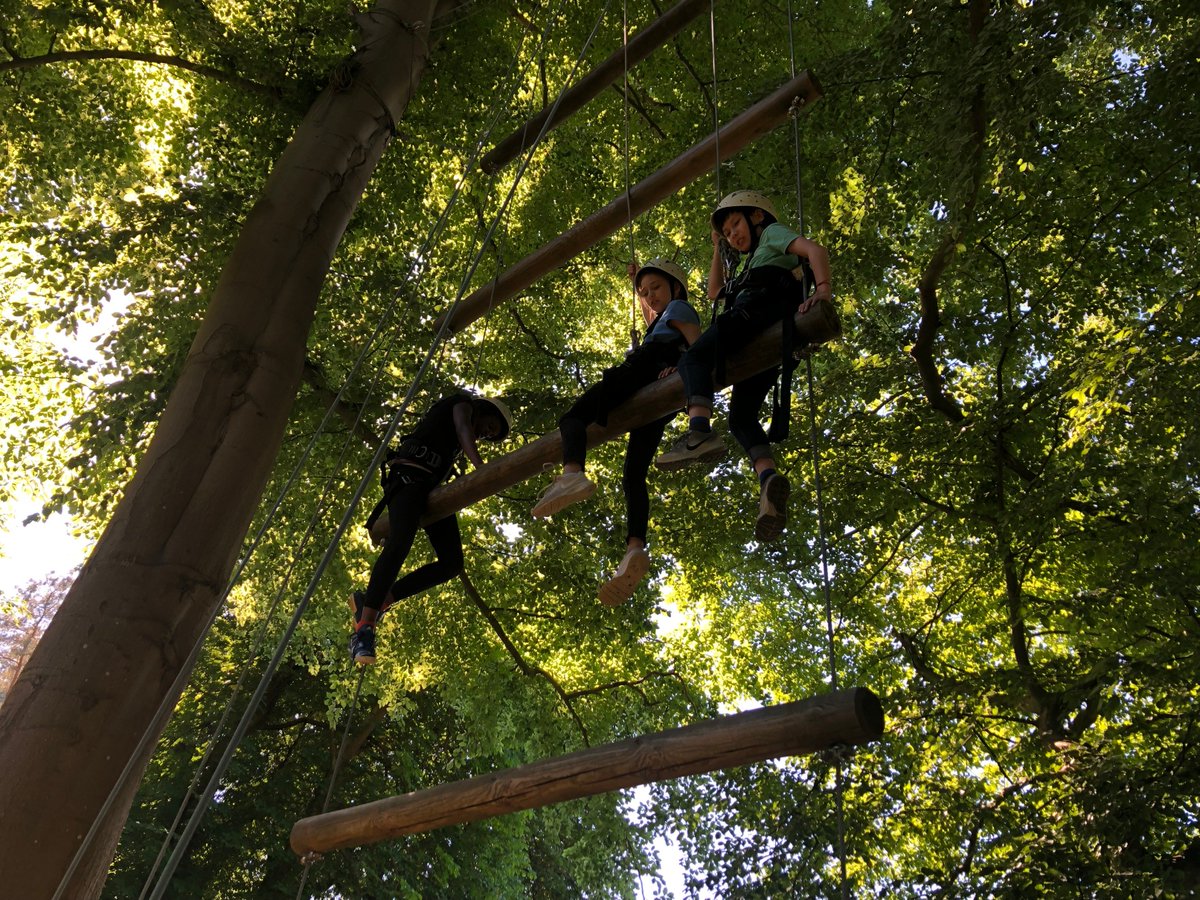 JenOFee's tweet photo. Grade 5 @BMSPrimary climbing adventures today - up in the trees! #BMSG5camp #BMSInspire @MsEichvalds https://t.co/9sFcRsTM1K