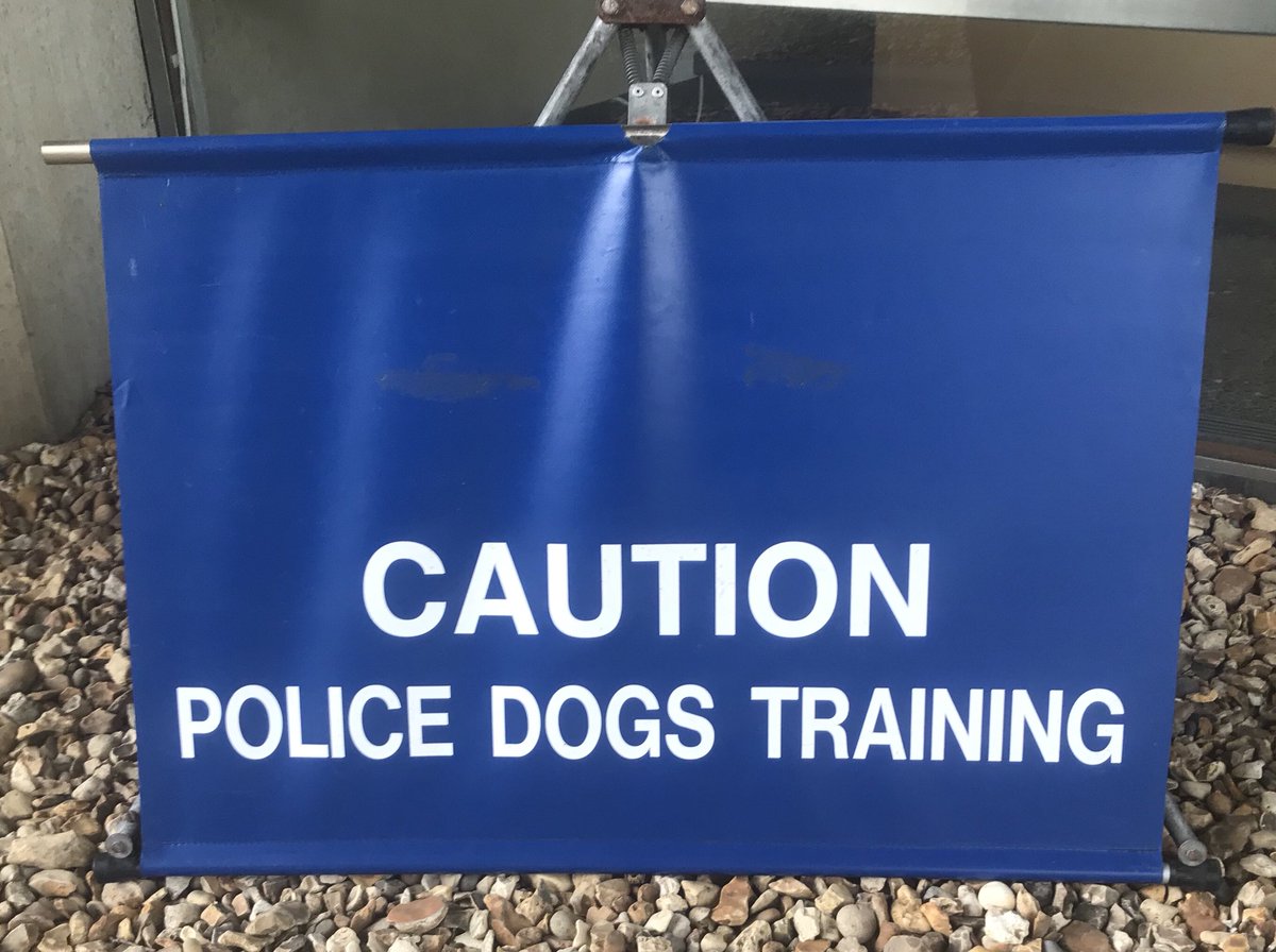 Fire Service Search Dog’s Eric and Saxon tweet media