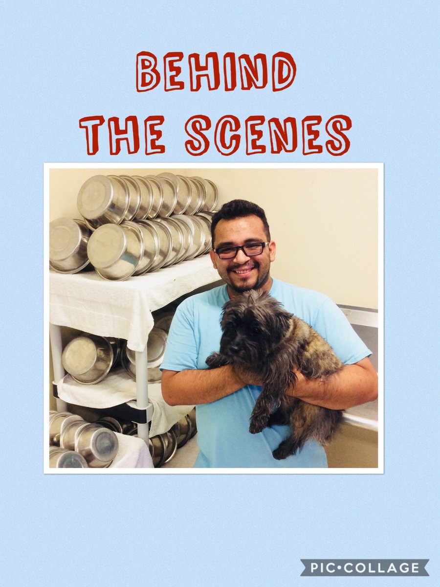 PPRWillClayton's tweet photo. Here we are behind the scenes with Nick. I caught him giving Barclay some extra loving in the back!! https://t.co/t5b3XyALdr