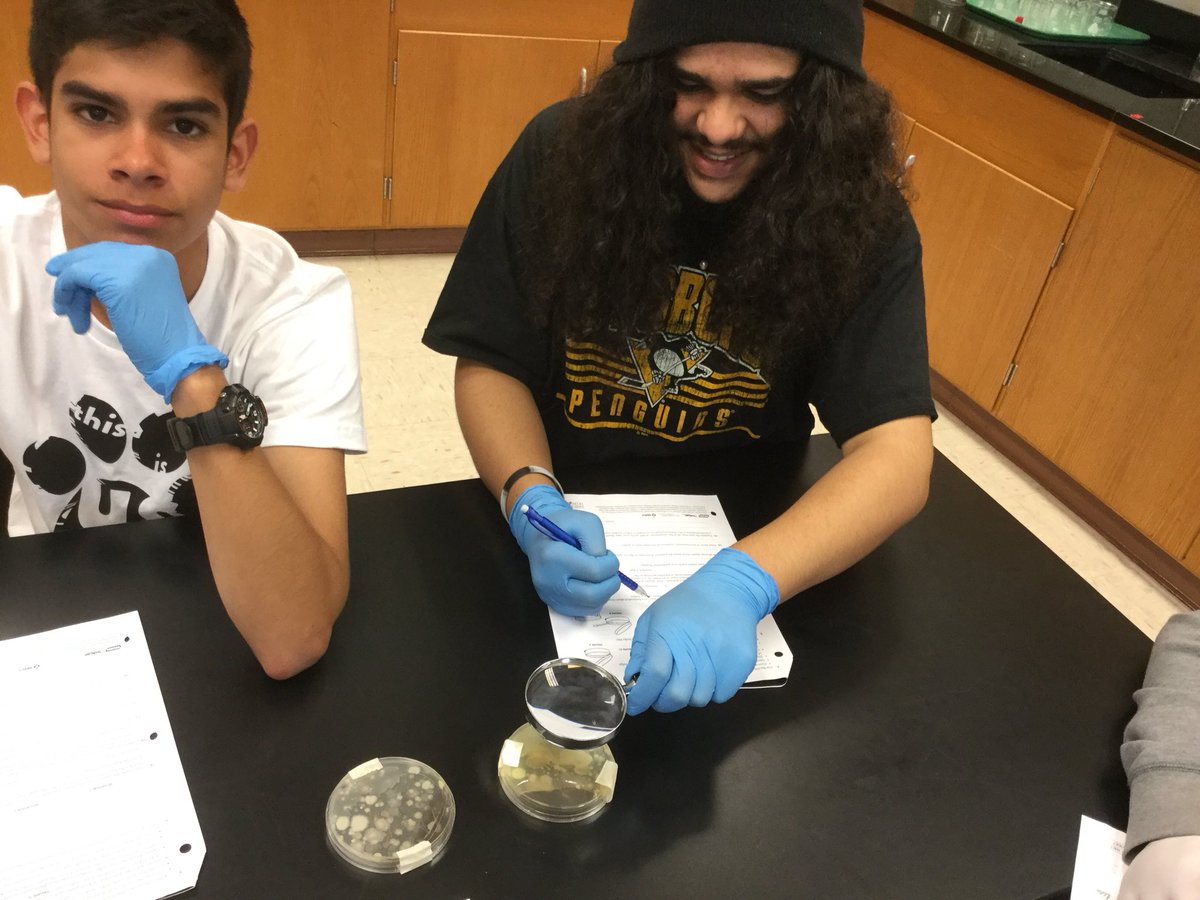 mrsgibson80's tweet photo. Where can you find bacteria? How many different kinds can you find? #NASDLearns #biolove #petridishlife https://t.co/eMnF9YqTtz
