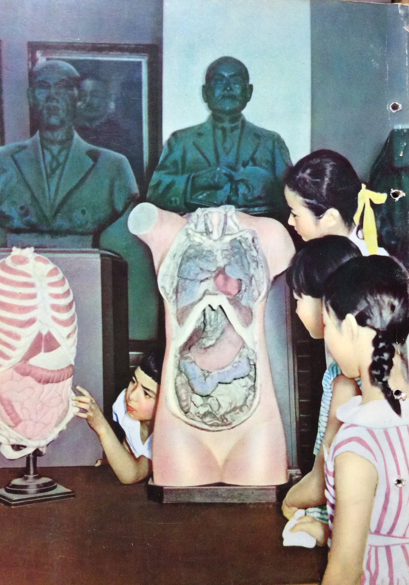 RT @dokurohigh: 「科学大観 第7号 人体」(藤田恒太郎 昭和35年6月