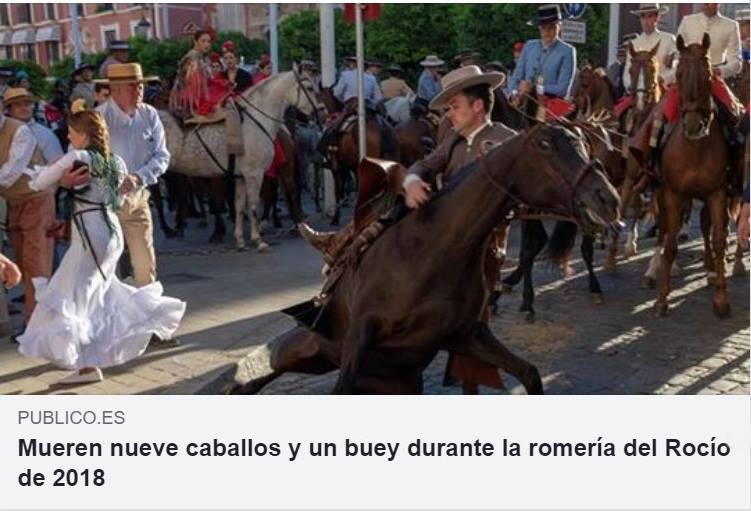 Otro año más mueren animales durante la romería del Rocío. Según Pacma desde 2017 han muerto cerca de 200 animales #Tradición si, pero no por encima de la razón #MaltratoAnimal Noticia: bit.ly/2s3C3vM