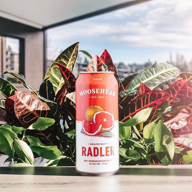 MooseheadLager's tweet photo. Turn over a new leaf this summer with the fresh new look of Moosehead Radler. Same great taste of beer + juice 😎☀️ https://t.co/4TRrO53ciO