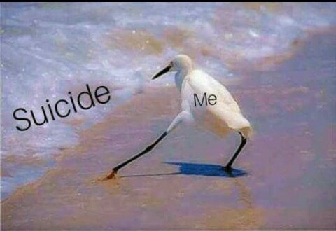 PicsSad's tweet image. 