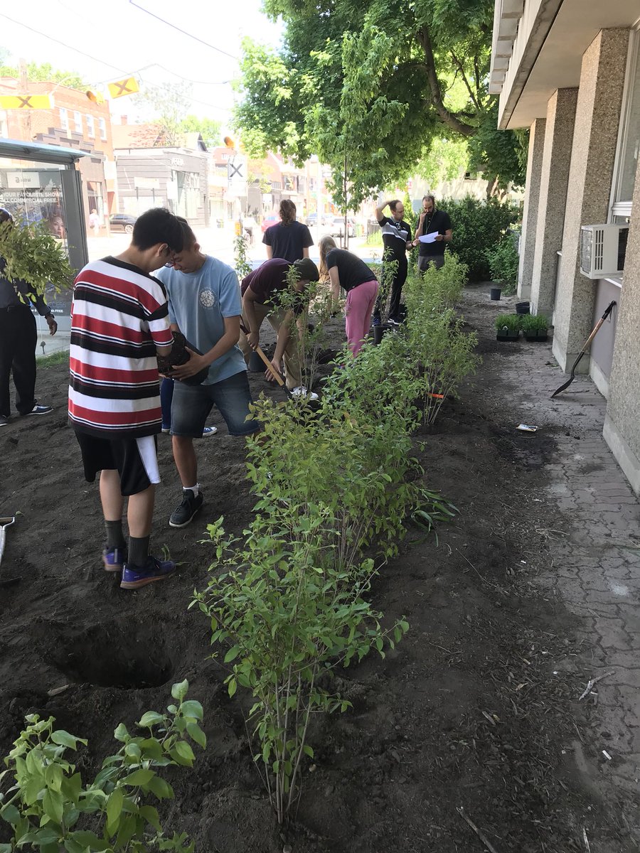 Experiential learning <a href="/eastdale_ci/">Eastdale Collegiate</a>, in coordination with the City of Toronto,students are planting phase 2 of Eastdale’s front garden.