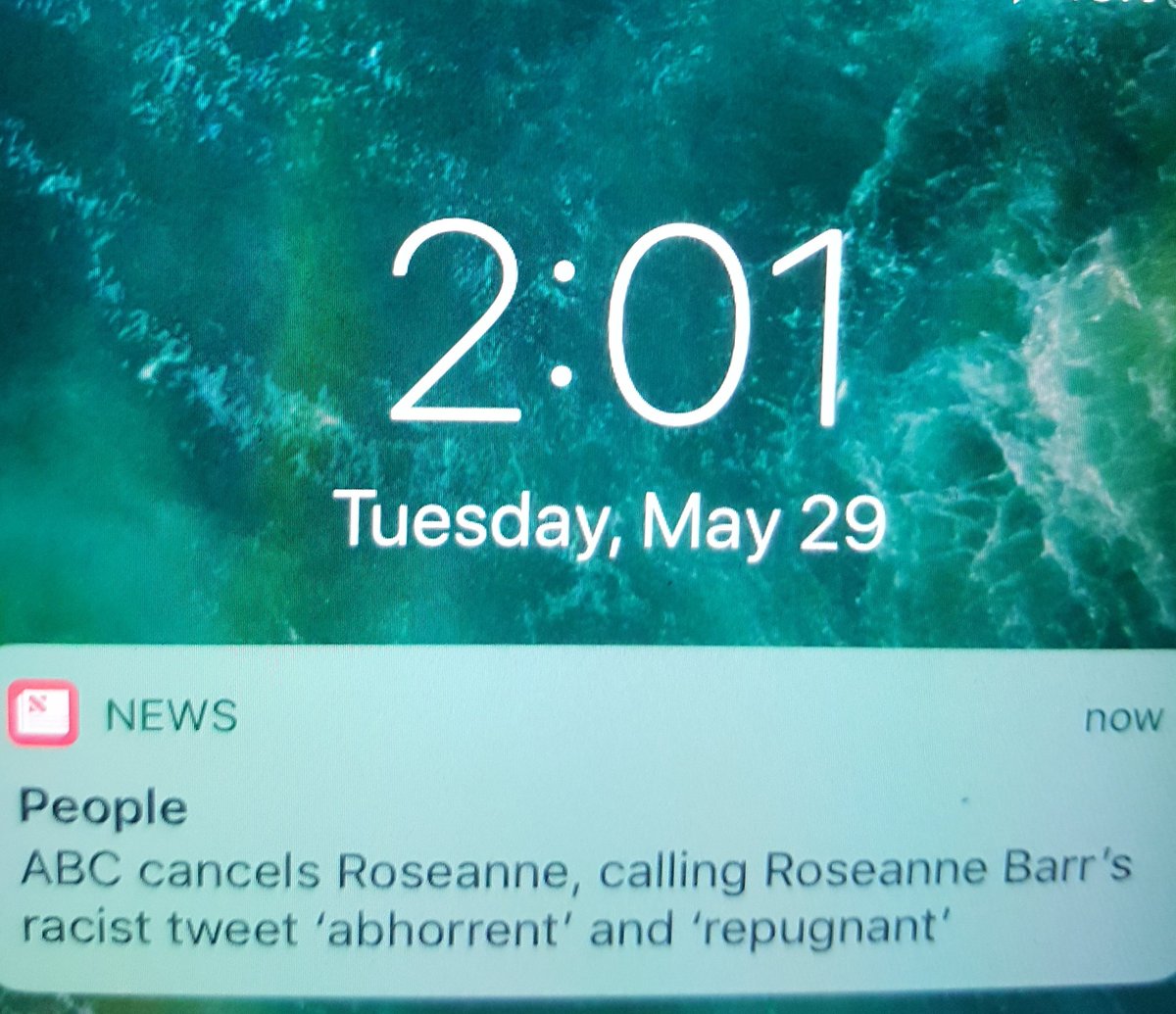 EyezNSmilez's tweet image. @WhatTheFFacts that time when Roseanne should have wrote her thoughts in her diary and then burned it. #RetweetThat #TrueStory