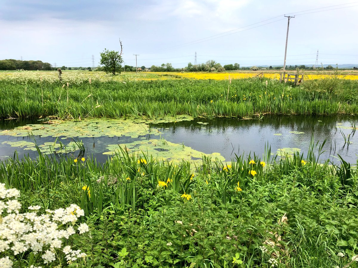 joannarich's tweet image. Fantastic trip to @PockCanal this weekend to learn more about how @CRTNorthEast are making it better for people and wildlife - a true wild corridor #naturenetwork #Springwatch