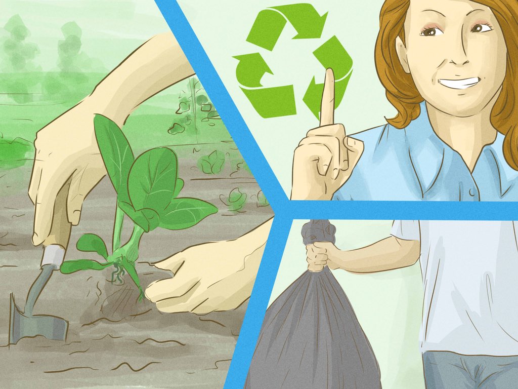 smalimustafa's tweet photo. Direct Citizen Actions required to #ShapeClimateInnovation :
- Plant Trees & take care of them 🌳
- No plastic
- Stop cutting trees🌲
- Recycle ♻️
- Renewable energy
- Responsible consumption
- Keep environment clean
- Protect Ocean, forests and wildlife
@deespeak @SDG2030 https://t.co/pw25HUVTpU