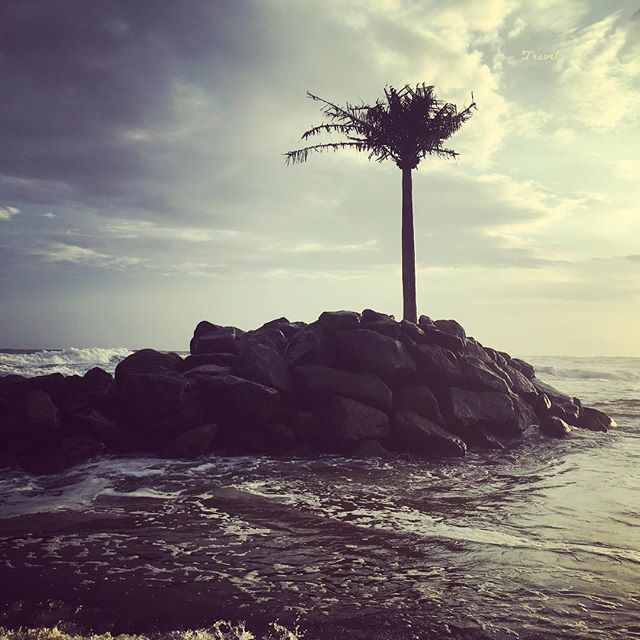 websnacker's tweet photo. You can tire me down but never take me down!!
.
#galle #sunset #gallesrilanka #ocean #srilanka #worldcitizen #exploretheworld #srilankatravel #beautifuldestinations #lk #oceanside #nomad #exploresrilanka #visitsrilanka #ceylon #srilankan #seaside #oceanv… https://t.co/TKSONdaejM https://t.co/DUoEjUageF