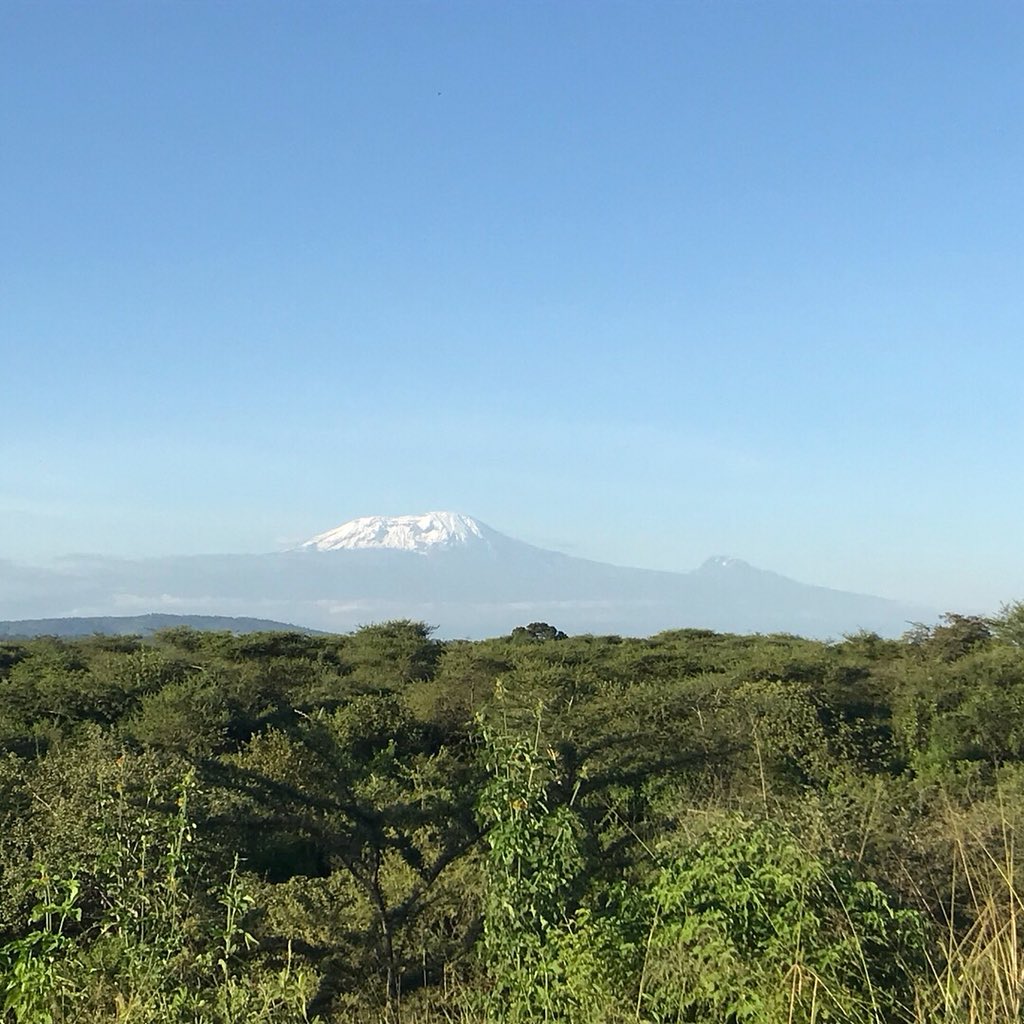 Kiligolf's tweet photo. Kilimanjaro and Meru looking beautiful today. What an incredible view from the 16th tee box on Kiligolf! #tanzania #golf #course #kilimanjaro #meru #golfcourse #wow https://t.co/GNIvkvmsMg