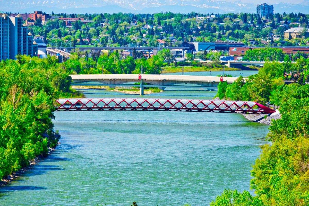 ashadmukadam's tweet photo. A couple of views of the Bow River and the Peace Bridge from McHugh Bluff. #calgary #alberta #mchughbluff #bowriver #peacebridge #nature #landscapes #trees #spring #hotweather #pedestrianbridge https://t.co/AmwvtD4TRV