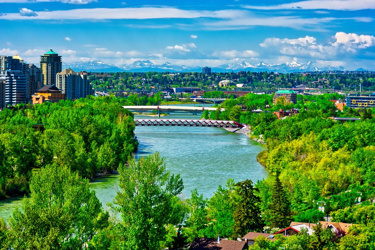 ashadmukadam's tweet photo. A couple of views of the Bow River and the Peace Bridge from McHugh Bluff. #calgary #alberta #mchughbluff #bowriver #peacebridge #nature #landscapes #trees #spring #hotweather #pedestrianbridge https://t.co/AmwvtD4TRV