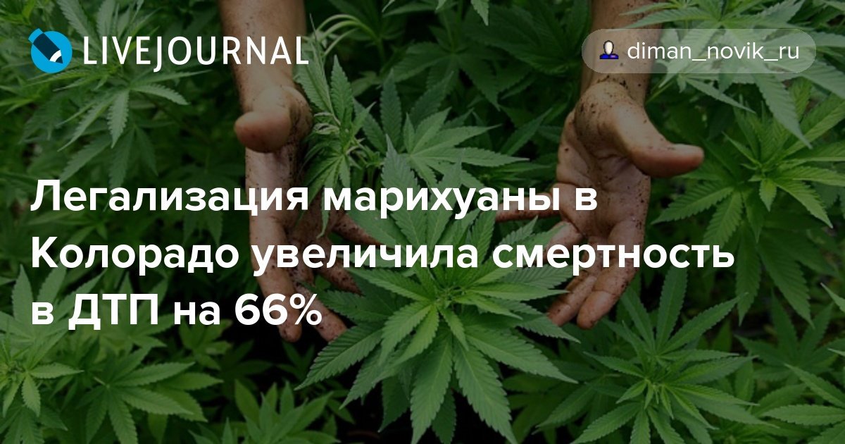 приколы с ведущими марихуана приколы с ведущими марихуана