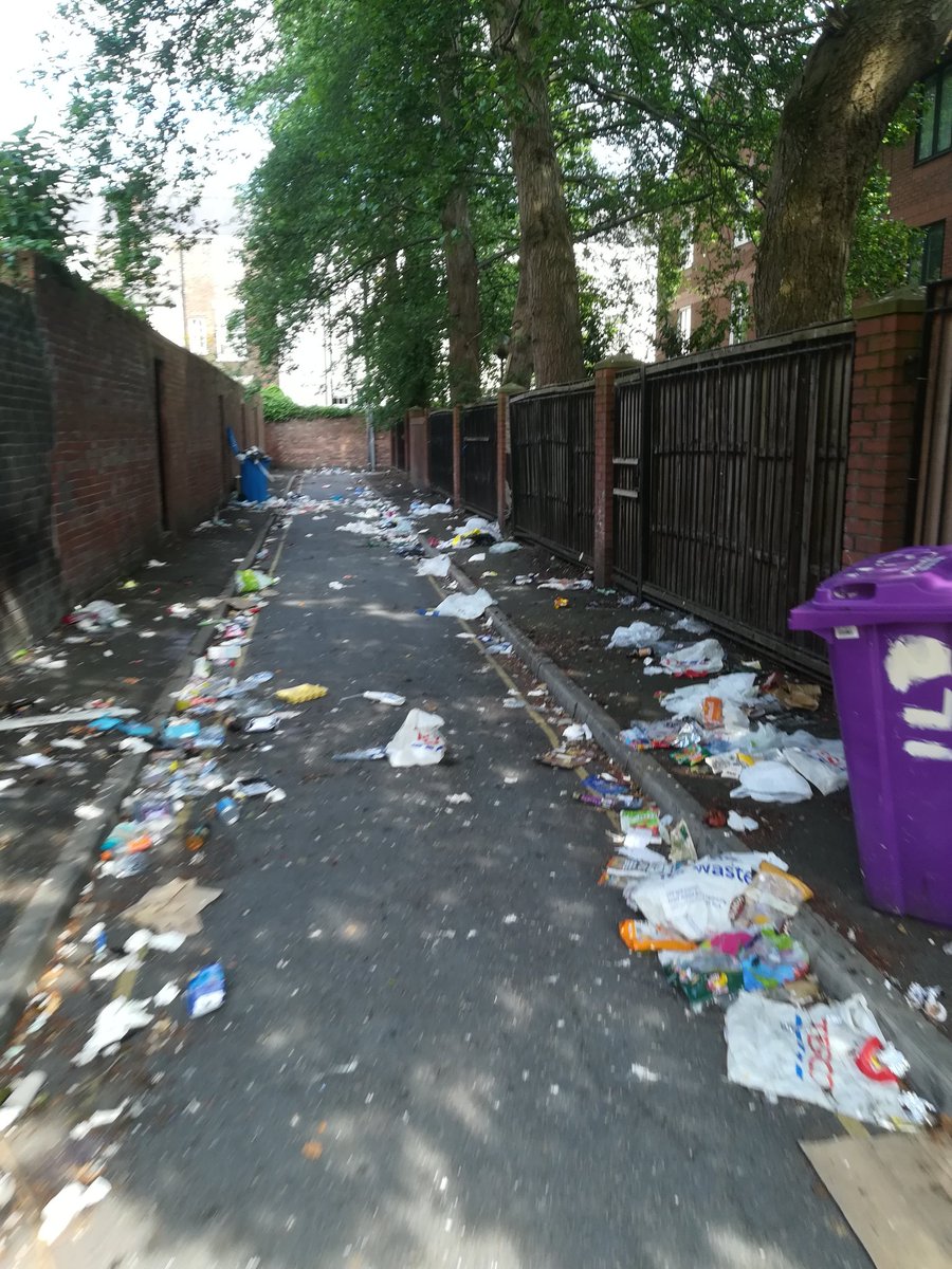 @Liverpool1207 @lpoolcouncil @lpoolcouncil I live 5 minutes from #anglicancathedral in the beautiful #georgianquarter we are now a 'non bin area' as they took our bins away... It now looks like this