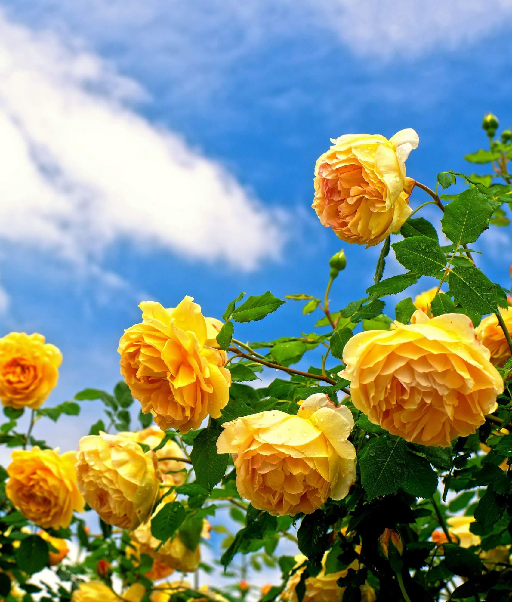 DeZ09lnX4AELqMU.jpg:large