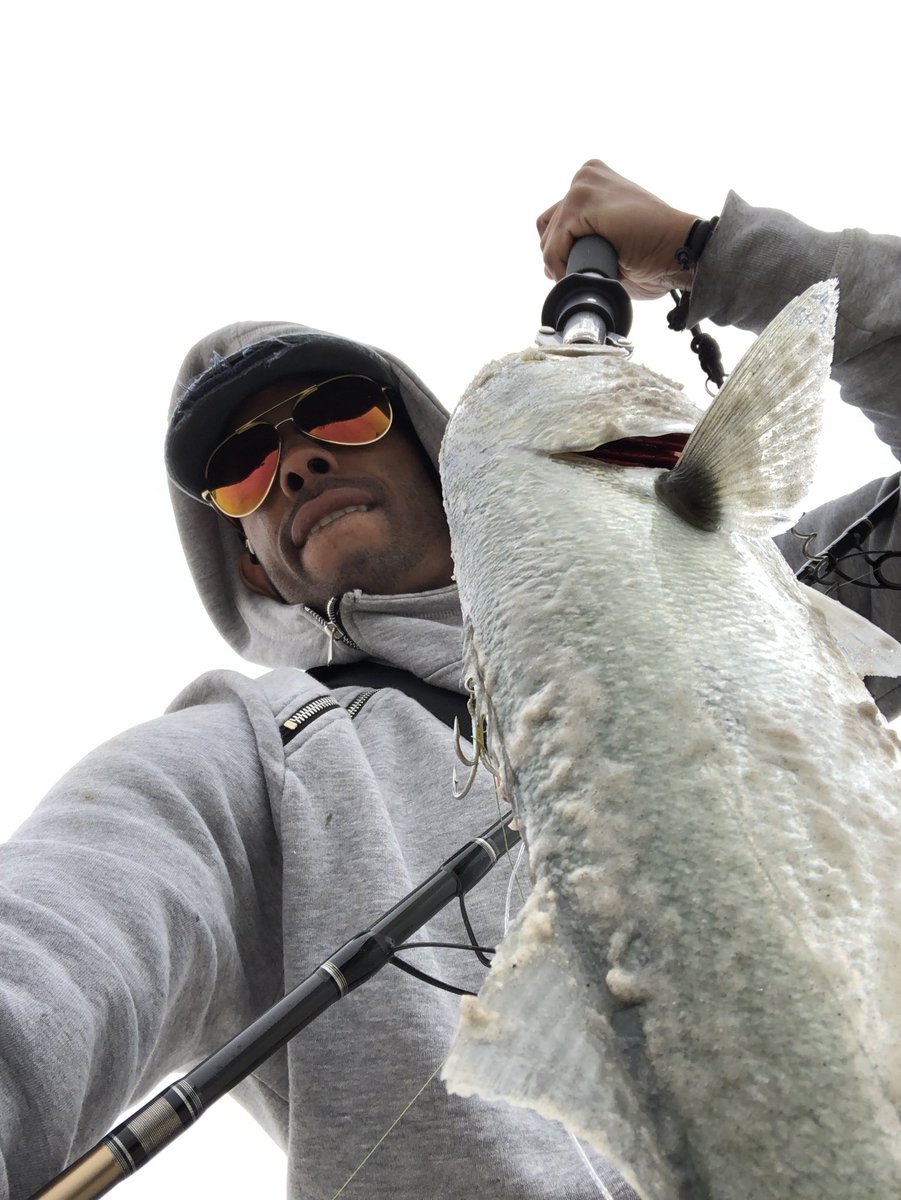 stateanglers's tweet photo. #Bluefish are out there bullying everybody. This one fell to the yellow @SuperStrike Darter (pronounced: / dardah) in these parts - a NY staple. https://t.co/9BtUrKg3JK