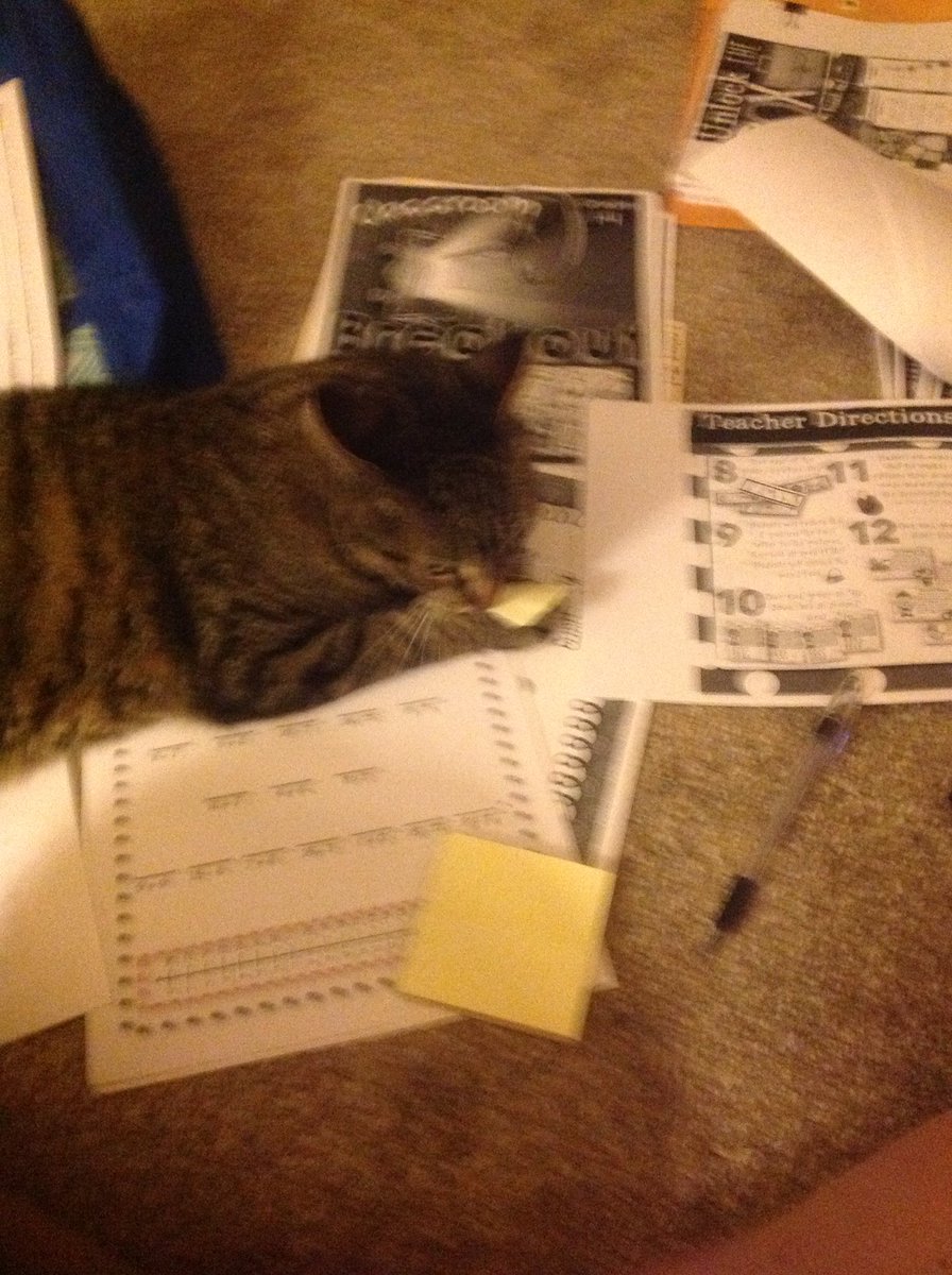 How am I supposed to get my stuff for PD done??? Eating my sticky notes ...